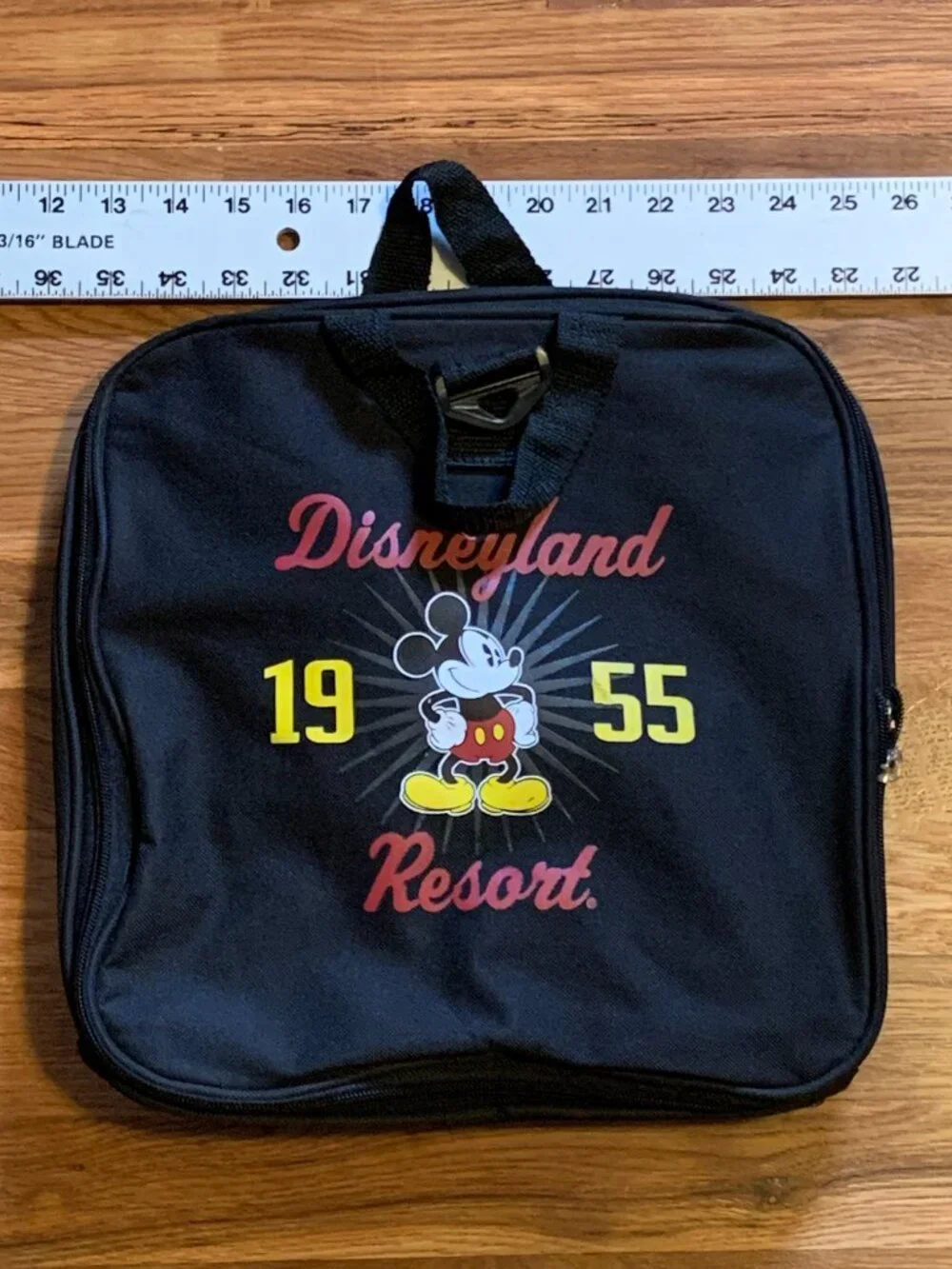 Disney disneyland resort
